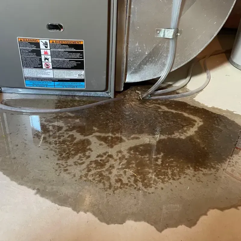 Appliance Leak Cleanup in Newburg, KY